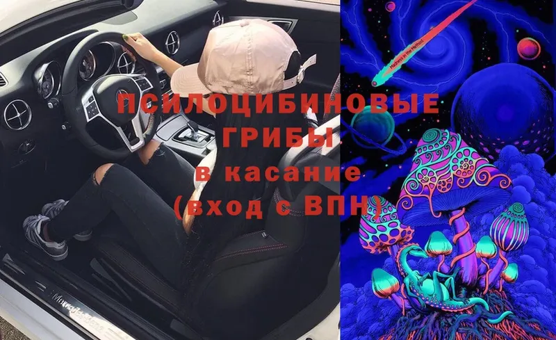 KRAKEN сайт  Бежецк  Псилоцибиновые грибы Psilocybe 